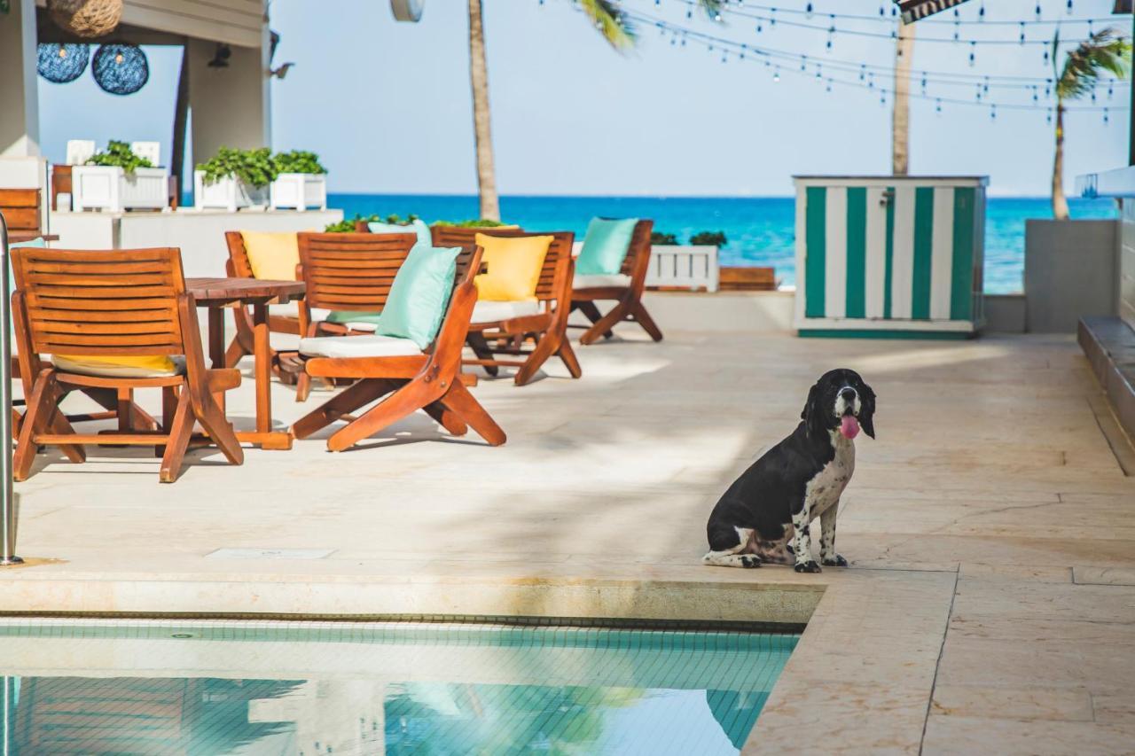 Thompson Playa Del Carmen Beach House, By Hyatt Dış mekan fotoğraf