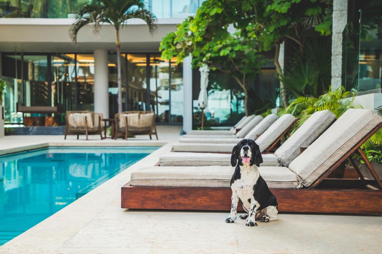 Thompson Playa Del Carmen Beach House, By Hyatt Dış mekan fotoğraf